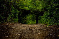 EDITONLY-13803