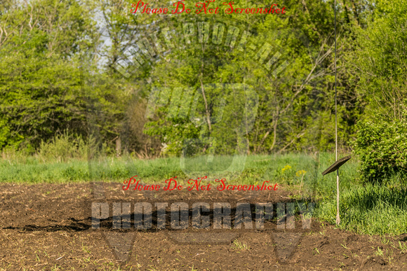 EDITONLY-7345