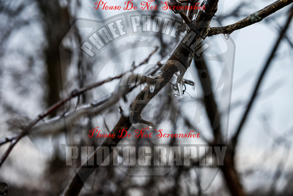 EDITONLY-9779